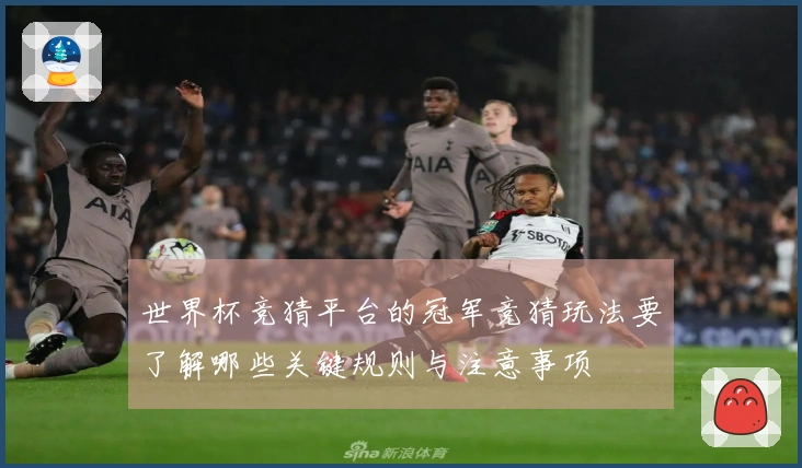 世界杯竞猜平台的冠军竞猜玩法要了解哪些关键规则与注意事项
