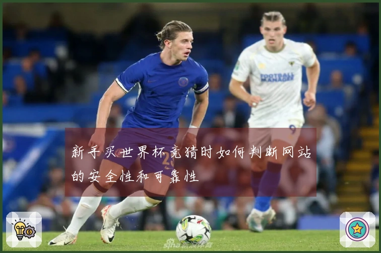新手买世界杯竞猜时如何判断网站的安全性和可靠性