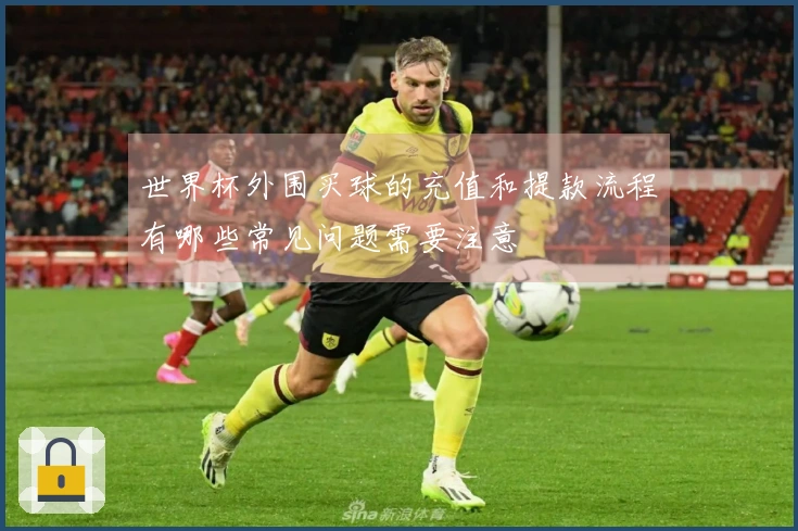 世界杯外围买球的充值和提款流程有哪些常见问题需要注意