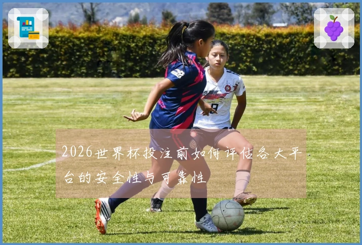 2026世界杯投注前如何评估各大平台的安全性与可靠性