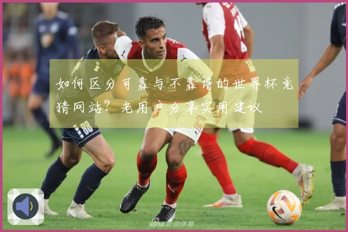 如何区分可靠与不靠谱的世界杯竞猜网站？老用户分享实用建议