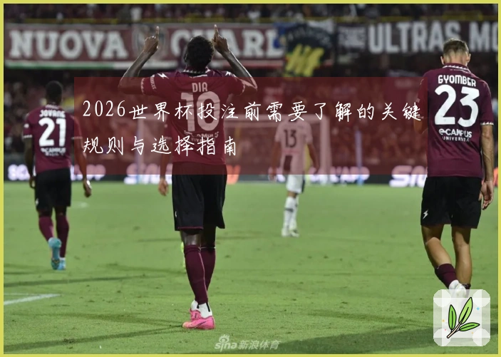 2026世界杯投注前需要了解的关键规则与选择指南