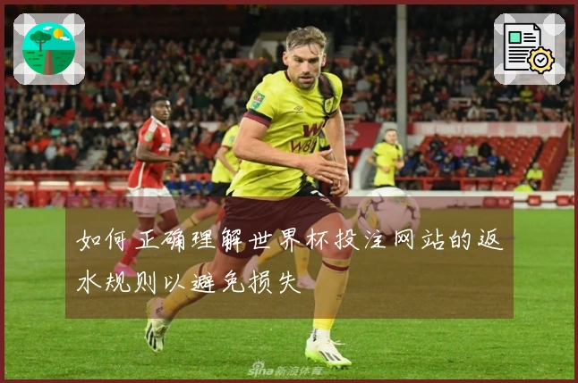 如何正确理解世界杯投注网站的返水规则以避免损失