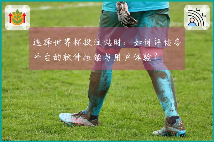 选择世界杯投注站时，如何评估各平台的软件性能与用户体验？