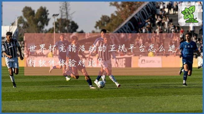 世界杯竞猜活动的正规平台怎么进行软件体验对比？