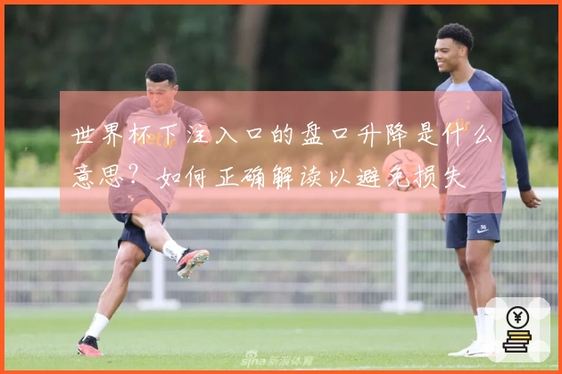 世界杯下注入口的盘口升降是什么意思？如何正确解读以避免损失