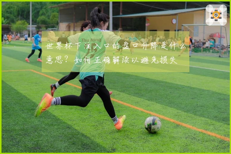 世界杯下注入口的盘口升降是什么意思？如何正确解读以避免损失
