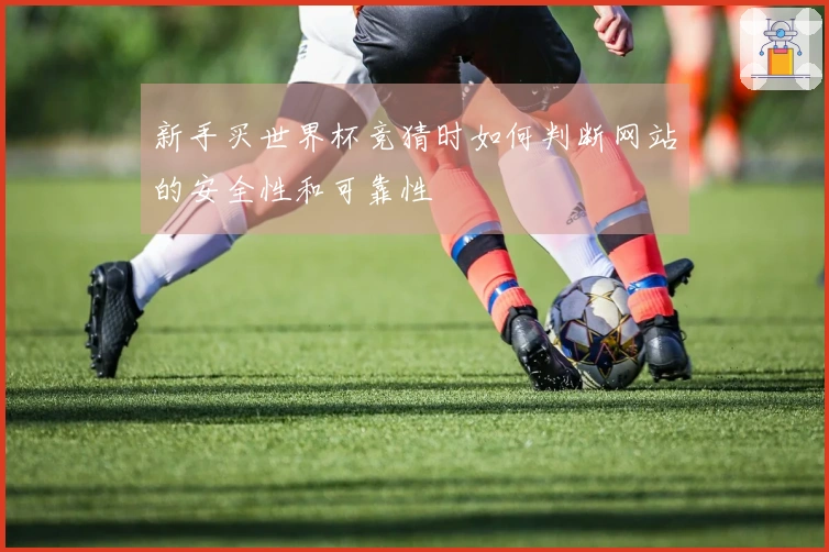 新手买世界杯竞猜时如何判断网站的安全性和可靠性